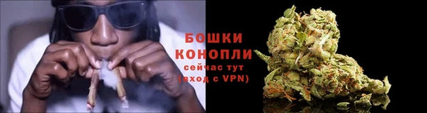 амф Беломорск