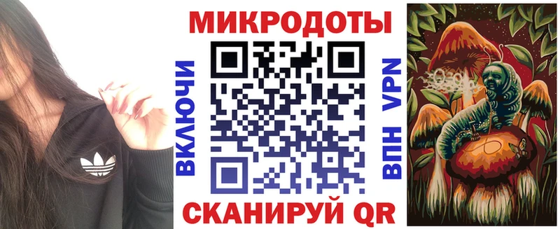 Псилоцибиновые грибы Psilocybine cubensis  Дальнегорск 